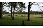 Mehrfamilienhaus, Wohnhaus Gnarrenburg Glinstedt - 4 Zimmer, 130 m&sup2;, 295.000&euro; | Angebot:25798231