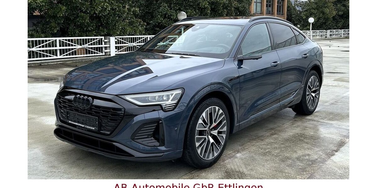 Audi Q8 e-tron 31.497 km 51.900 &euro; Ettlingen 76275