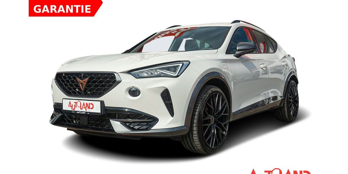 Cupra Formentor 53.214 km 25.950 &euro; Zwickau 08056