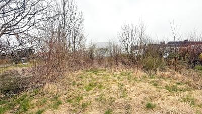 BAUEN NACH IHREN VORSTELLUNGEN - Grundstück Barsinghausen | Angebot:26308924