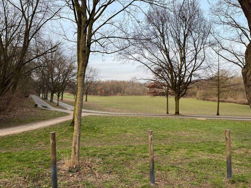 Grün wohnen in Zollstock