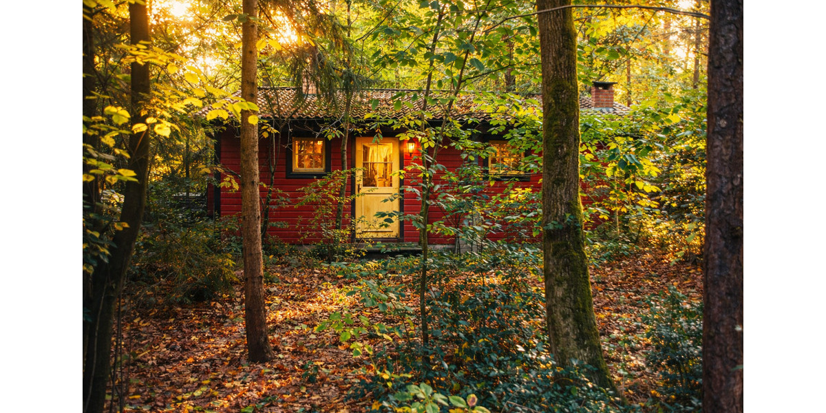 Einfamilienhaus Hatten - 3 Zimmer, 55 m&sup2;, 870&euro; | Angebot:25432437