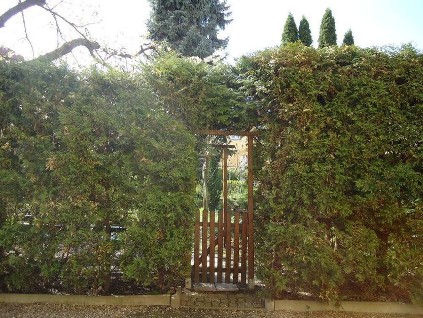 4-Raum-Wohnung in Naumburg