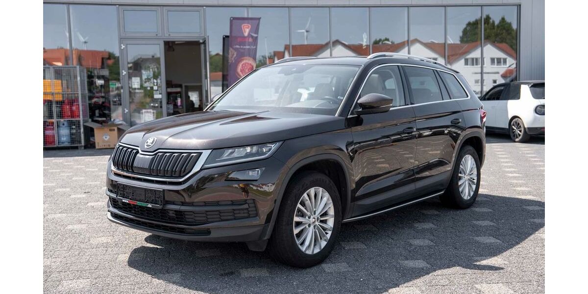Skoda Kodiaq 113.000 km 25.290 &euro; Schauenburg 34270