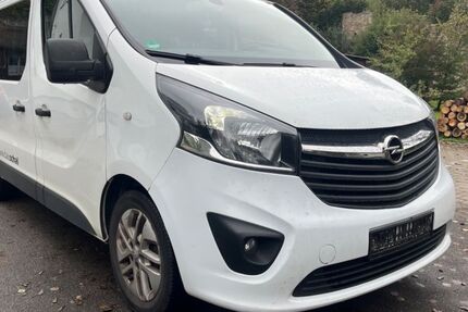 Opel Vivaro 385.000 km 7.250 € Tübingen 72074
