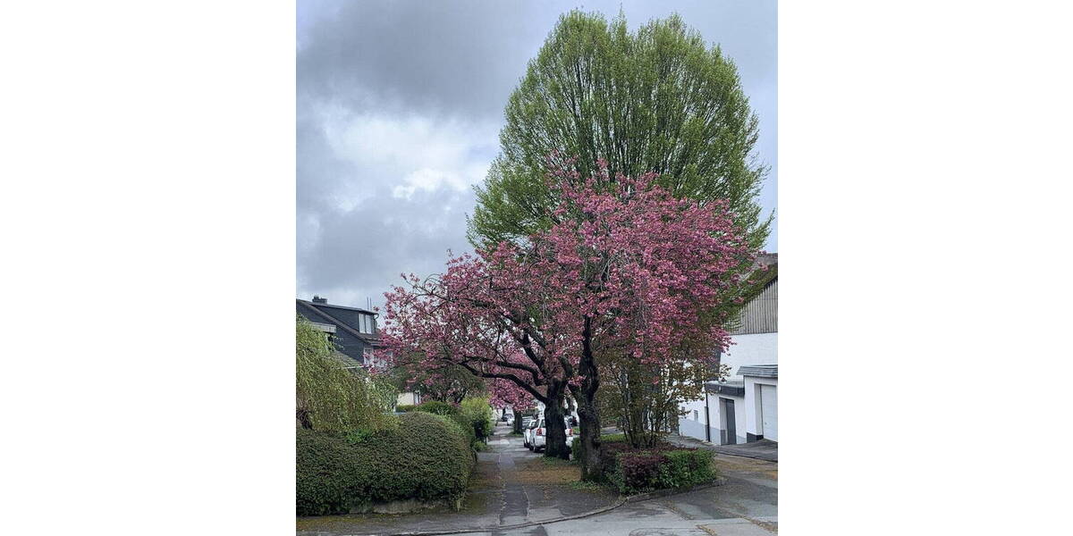 Mehrfamilienhaus, Wohnhaus Brilon - 7 Zimmer, 166 m&sup2;, 349.000&euro; | Angebot:26306504