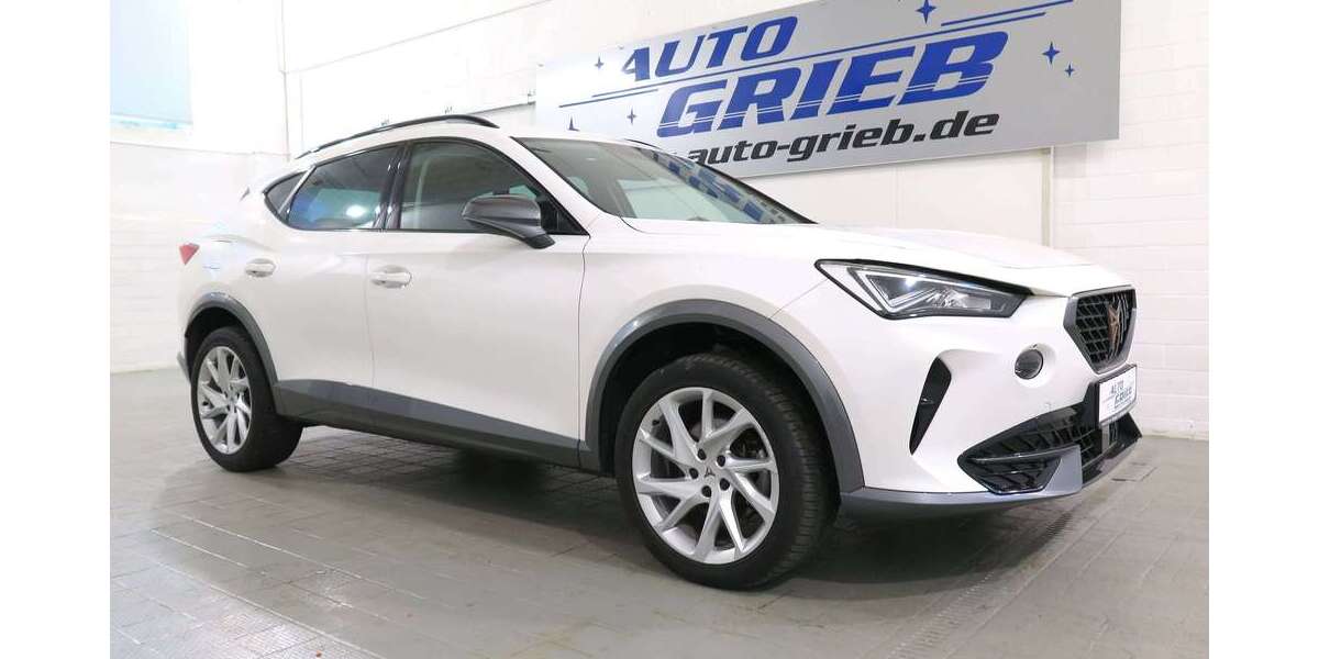 Cupra Formentor 82.800 km 22.850 &euro; Miesitz 07819