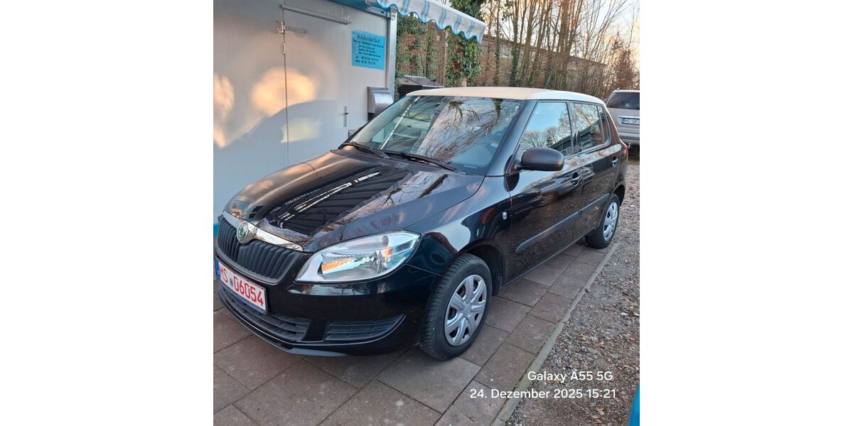 Skoda Fabia 163.445 km 2.900 &euro; Münster 48161