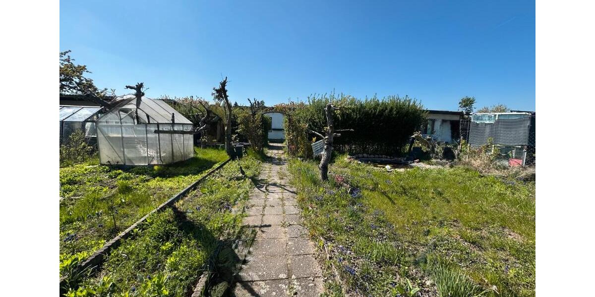 Grundstück Torgau - 300&euro; | Angebot:26409696