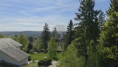 PANORAMA-PERLE IM HEILKLIMATISCHEN KURORT - Wohnung Lenzkirch | Angebot:26421191