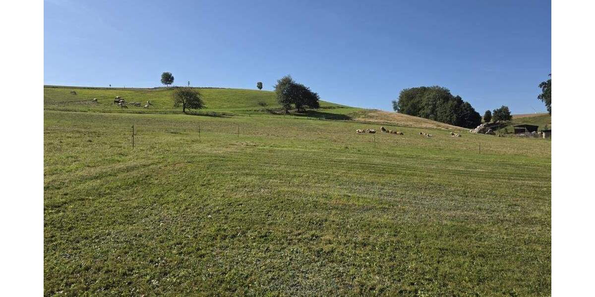 Zimmer Niederstriegis Grunau - 2 Zimmer, 48 m&sup2;, 199&euro; | Angebot:25708886