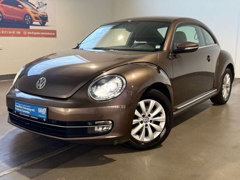 Beetle
