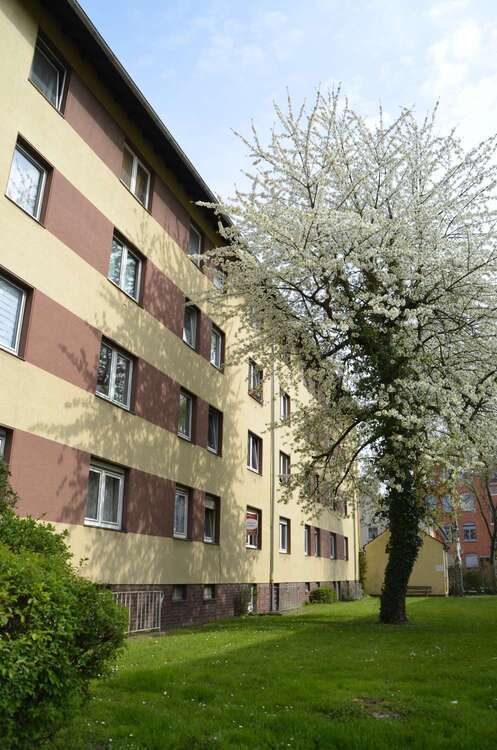 Wohnung zum Mieten in Hagen 273 € 47 m²