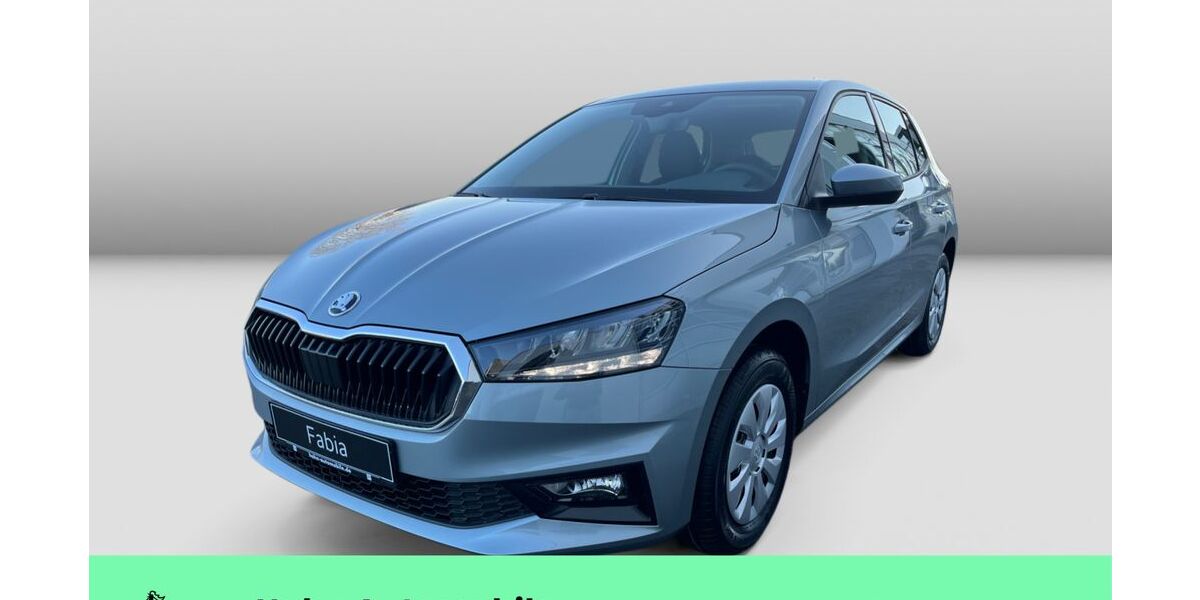 Skoda Fabia 1.111 km 20.980 &euro; Weinstadt-Endersbach 71384