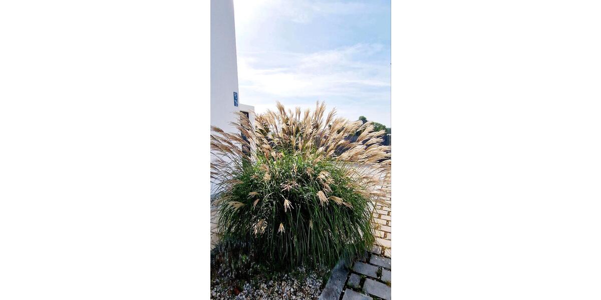 Einfamilienhaus Pilsting - 3.5 Zimmer, 130 m&sup2;, 3.500&euro; | Angebot:26227856