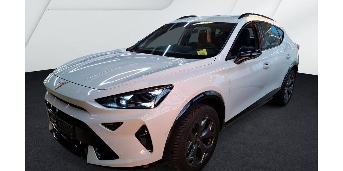 Cupra Formentor 25.700 km 30.980 &euro; Balingen 72336