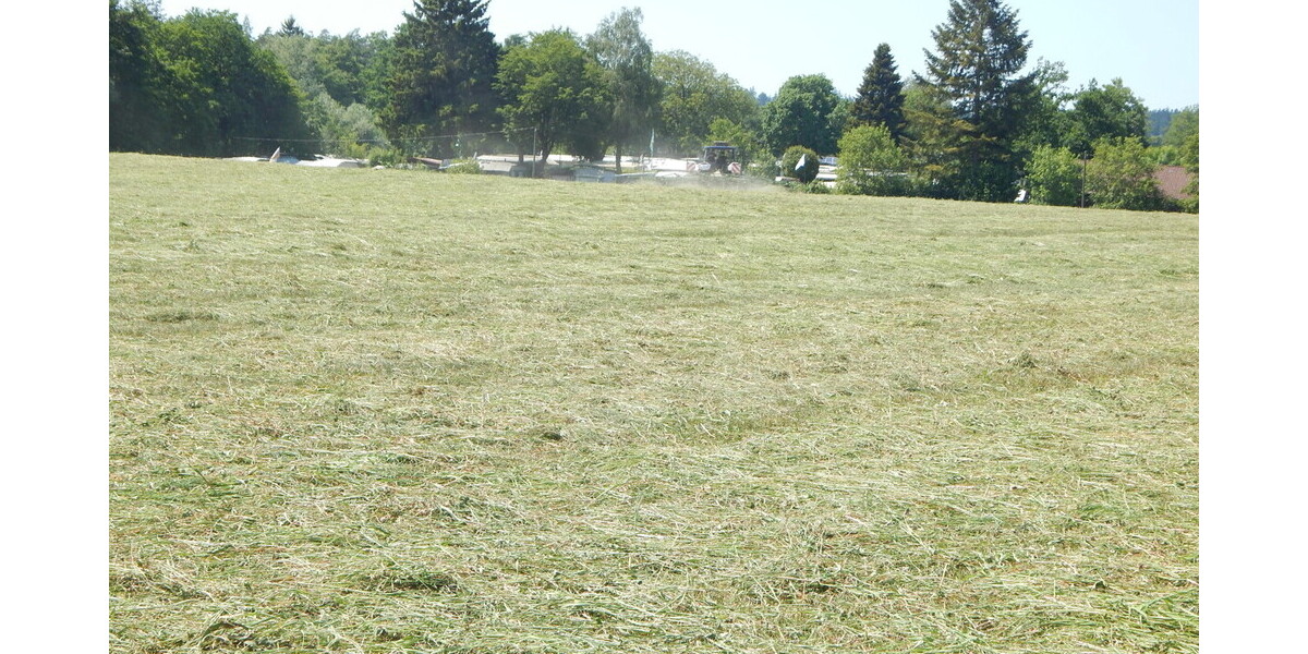 Landwirtschaftlicher Grund als Geldanlage - in 84529 TittmoningSüdbayern, Nähe Leitgeringer See - Grundstück Tittmoning Tittmoning | Angebot:26731085