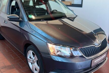 Skoda Fabia 141.062 km 5.500 &euro; Henstedt-Ulzburg (bei Hamburg) 24558