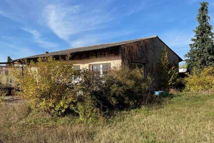 Haus zum Kaufen in Altlandsberg 395.000 € 100 m² 1 zimmer