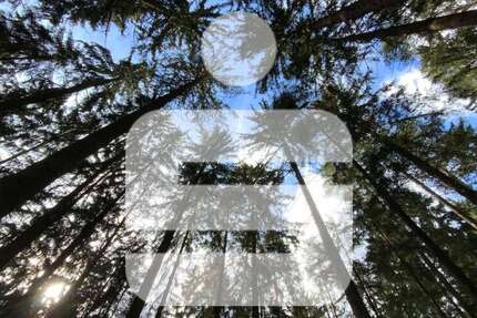 Grundstück Teunz - 260.000&euro; | Angebot:25202292