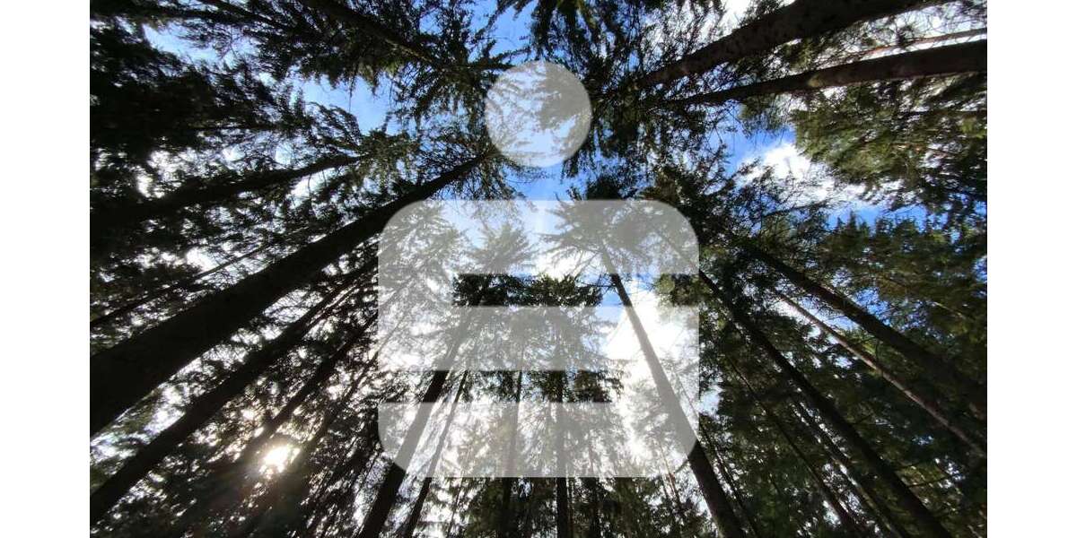 Grundstück Teunz - 260.000&euro; | Angebot:25202292