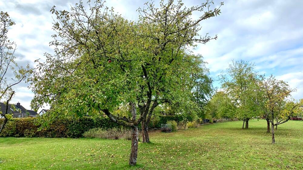 Einfamilienhaus Wenden / Hillmicke Hillmicke - 6 Zimmer, 240 m&sup2;, 450.000&euro; | Angebot:26377324