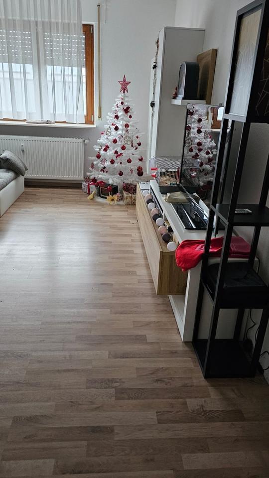 5-Familienhaus inkl. Penthaus -Wohnung mit Gewerbehalle