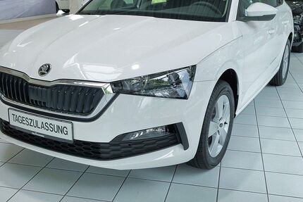 Skoda Scala 33.500 km 19.888 &euro; Lahr 77933