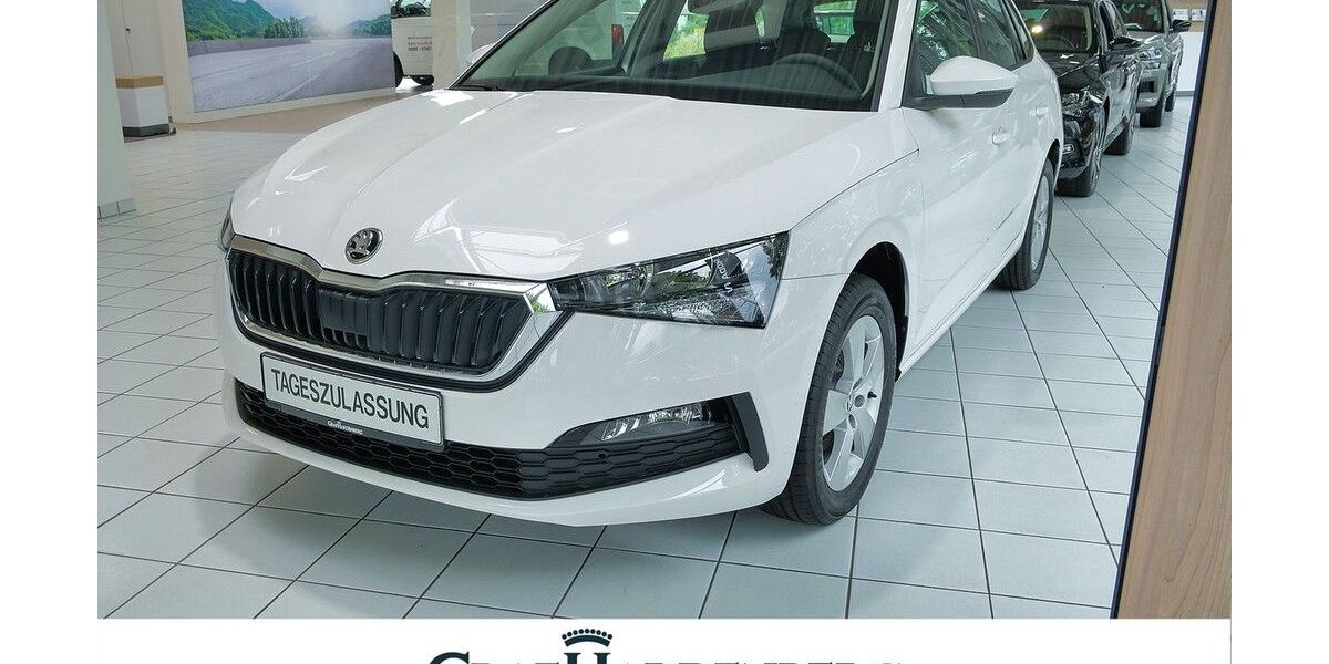 Skoda Scala 33.500 km 19.888 &euro; Lahr 77933