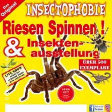 Insectophobie: Riesen Spinnen & Insekten 25.01.2026 Bürgerhaus Garching
