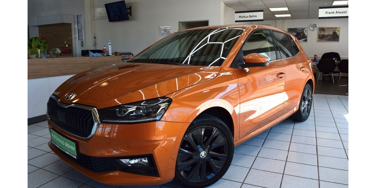 Skoda Fabia 16.242 km 19.650 &euro; Neubrandenburg 17033