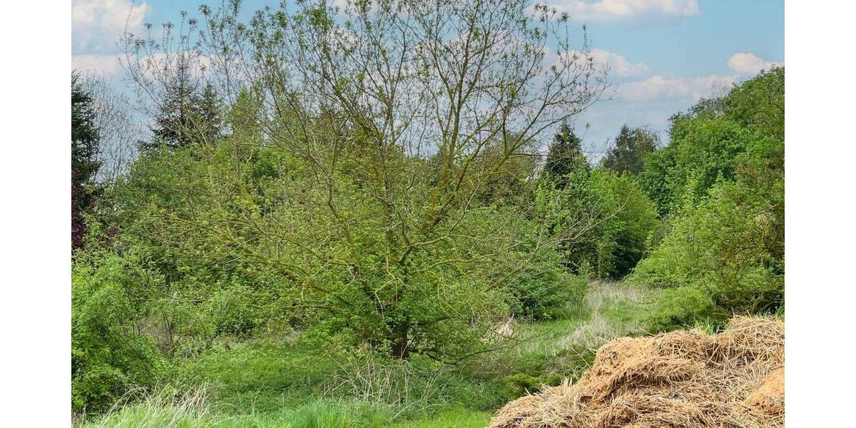 Grundstück Wettin-Löbejün Wettin - 26.500&euro; | Angebot:26799587