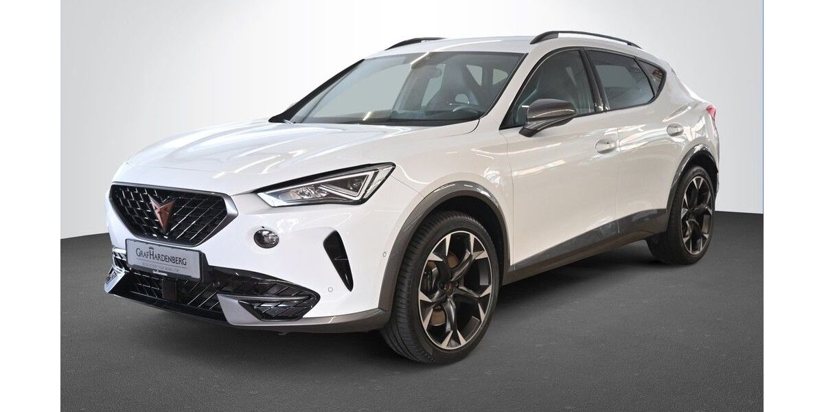 Cupra Formentor 45.900 km 29.580 &euro; Karlsruhe 76131