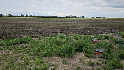EINZIGARTIGE GELEGENHEIT IN STRANDNÄHE - Grundstück Fehmarn | Angebot:26326638