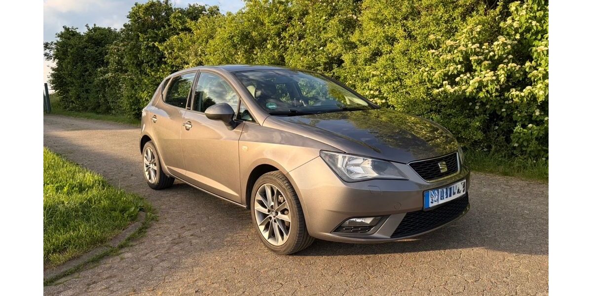 Seat Ibiza 183.200 km 4.750 &euro; Ettringen 56729