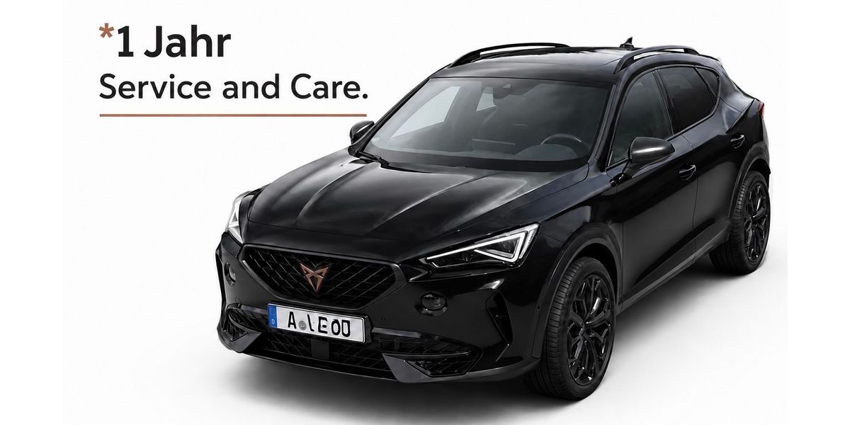 Cupra Formentor 29.864 km 31.900 &euro; Untermeitingen 86836