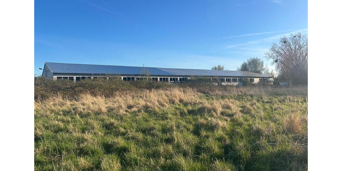 Gewerbeobjekt Greifswald - 1.500&euro; | Angebot:26477574