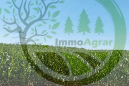 Grundstück in Nennslingen 82.000 € 37348 m² zimmer