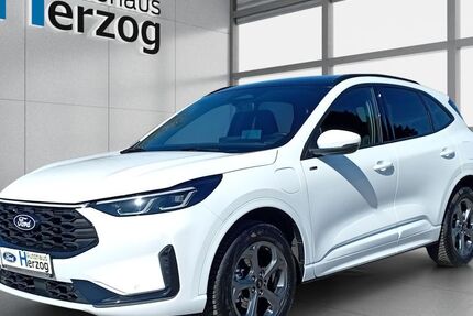 Ford Kuga 4.800 km 35.980 &euro; Schramberg 78713