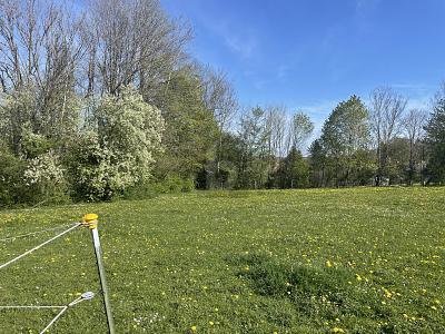 INVESTMENT IN IHRE ZUKUNFT- KAUFEN SIE LAND - Grundstück Berg | Angebot:26421157