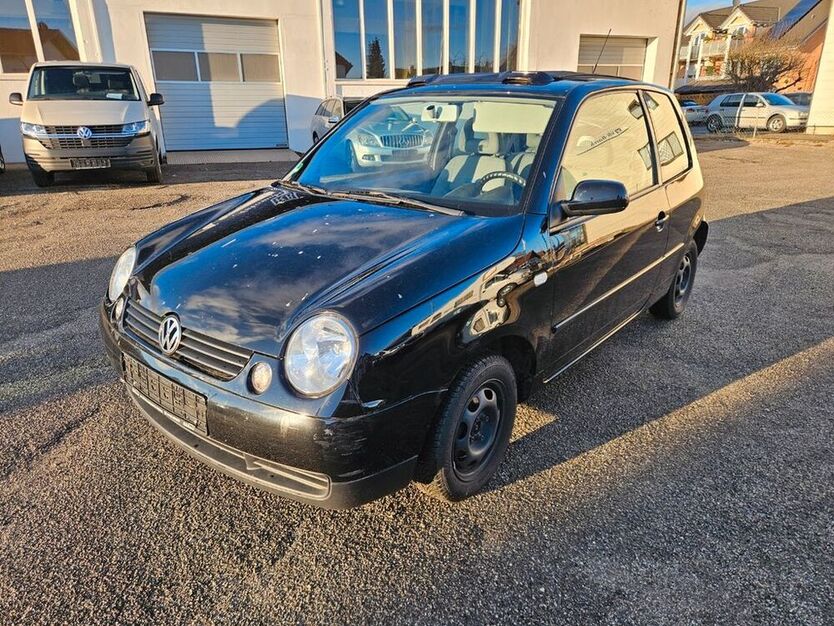 Lupo