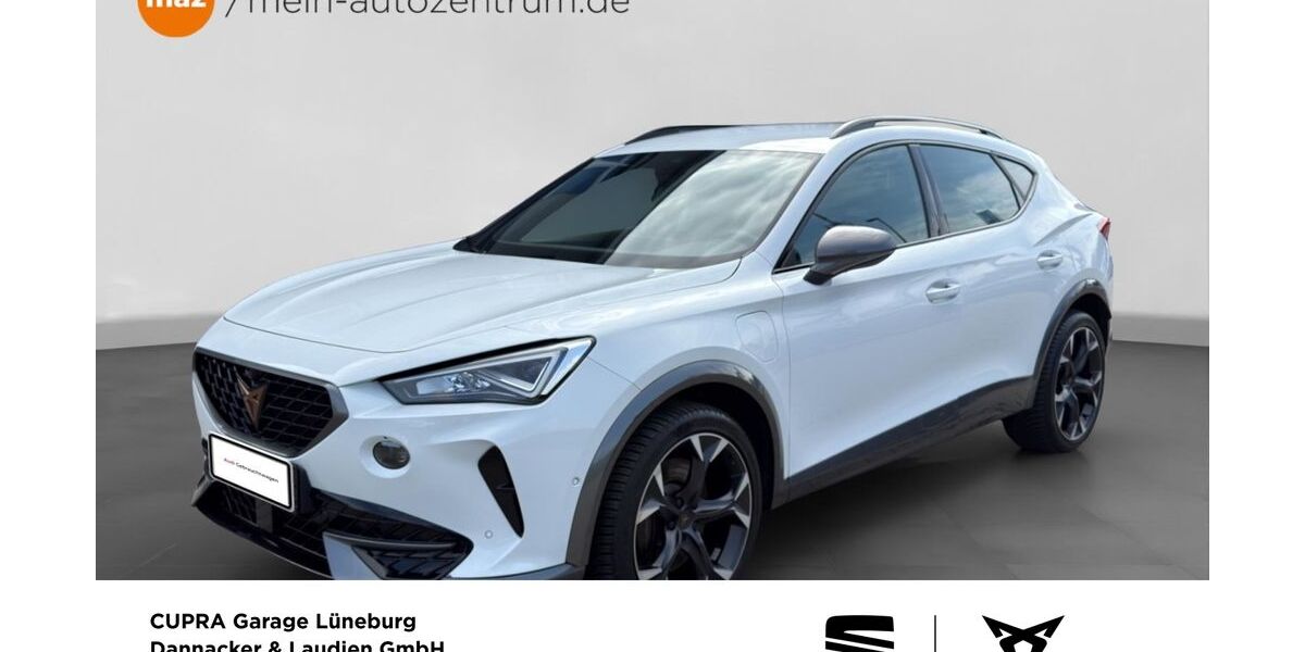 Cupra Formentor 42.742 km 26.970 &euro; Lüneburg 21337