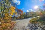 Mehrfamilienhaus, Wohnhaus Schwarzenberg - 1 Zimmer, 360.000&euro; | Angebot:25744621