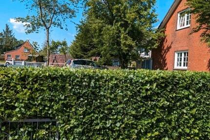 EFH 4 Zimmer Oster Ohrstedt 4 zimmer