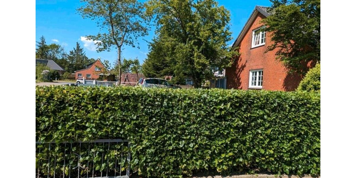 EFH 4 Zimmer Oster Ohrstedt 4 zimmer