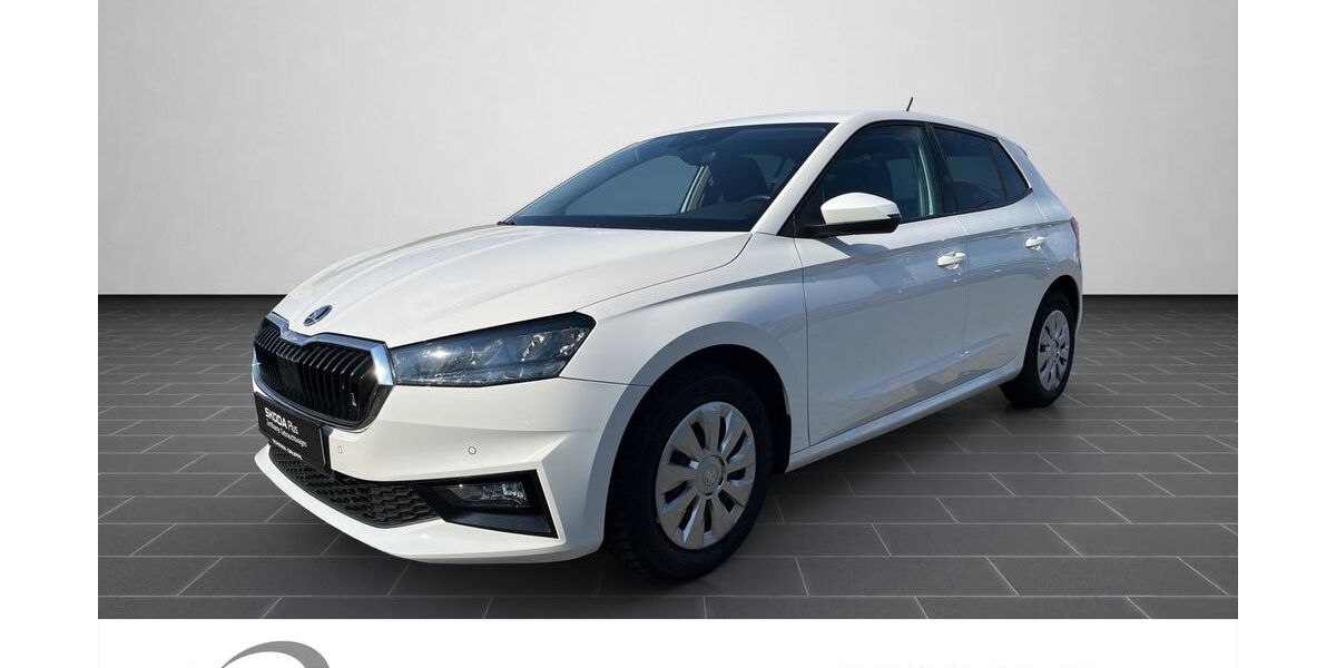 Skoda Fabia 92.337 km 13.280 &euro; Mainz 55129