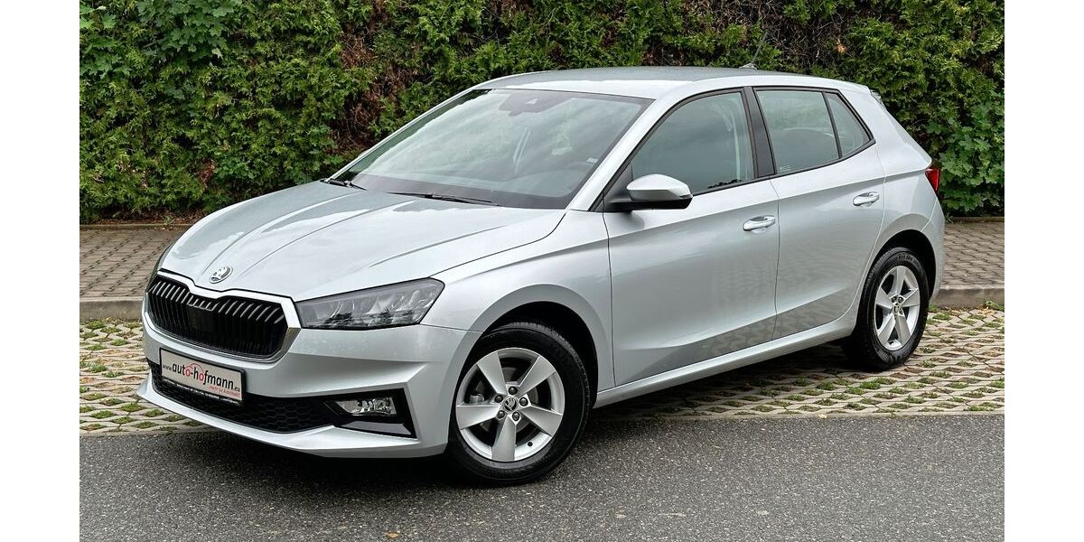 Skoda Fabia 5.862 km 16.930 &euro; Wallenfels 96346