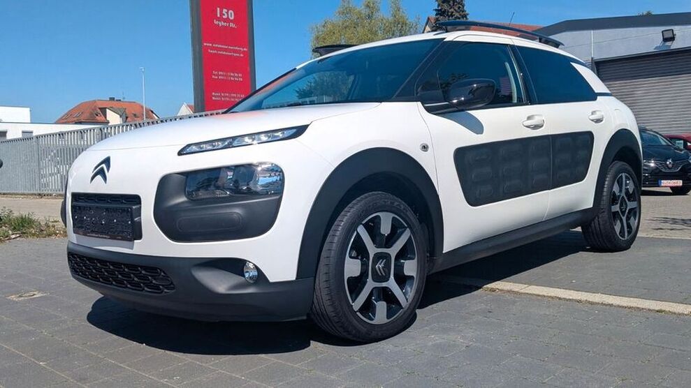 C4 Cactus