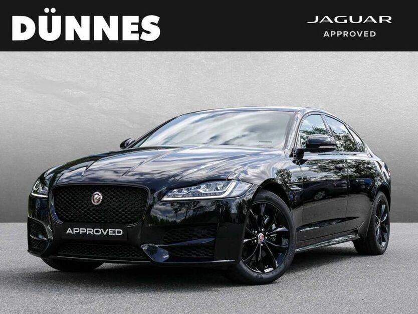 XF