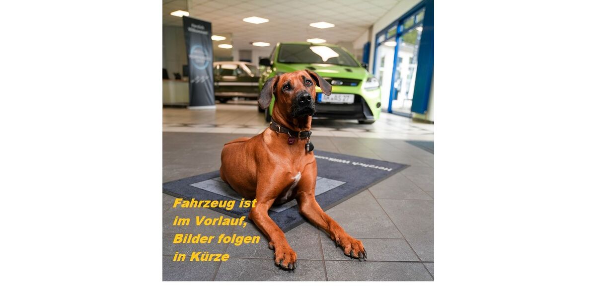 VW T-Cross 15.563 km 21.990 &euro; Oberlahr 57641